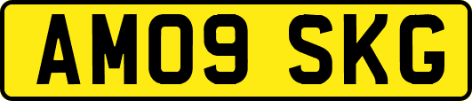 AM09SKG