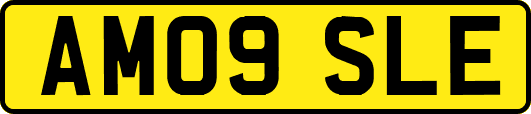 AM09SLE