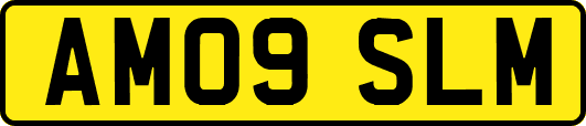 AM09SLM