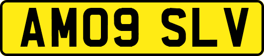 AM09SLV