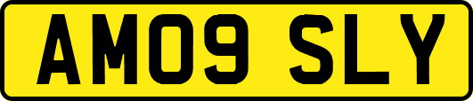 AM09SLY