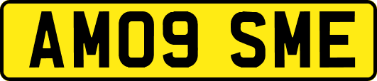 AM09SME