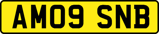 AM09SNB