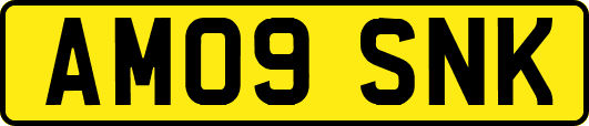 AM09SNK