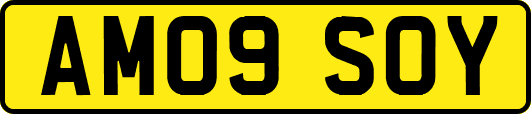AM09SOY