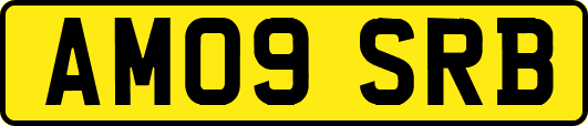 AM09SRB