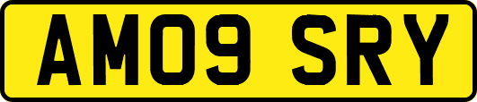 AM09SRY