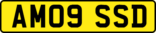 AM09SSD