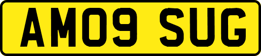 AM09SUG