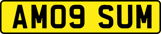 AM09SUM