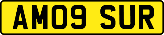 AM09SUR