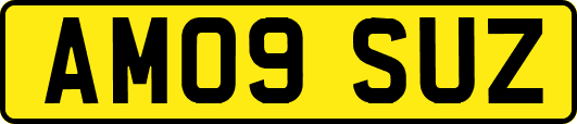 AM09SUZ