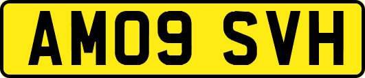 AM09SVH