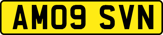 AM09SVN