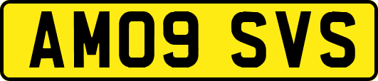 AM09SVS
