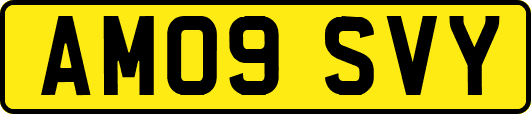 AM09SVY