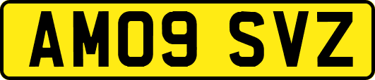 AM09SVZ