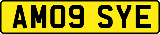AM09SYE