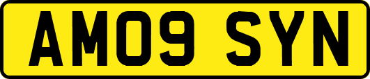 AM09SYN