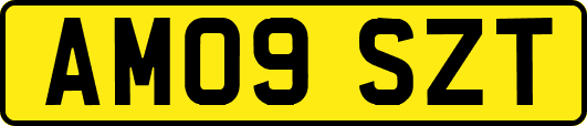 AM09SZT