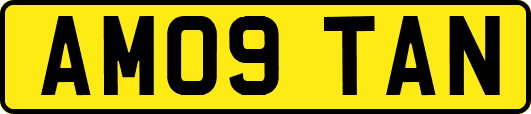 AM09TAN