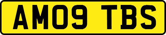 AM09TBS