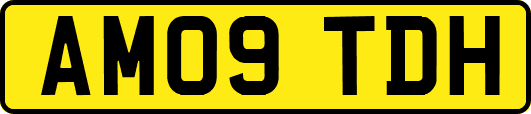 AM09TDH