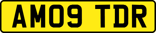 AM09TDR