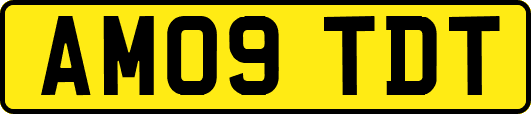AM09TDT