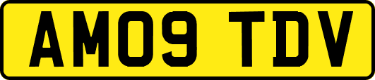 AM09TDV