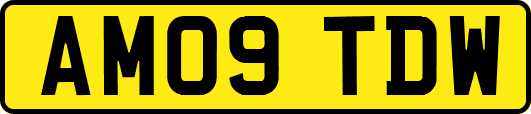 AM09TDW