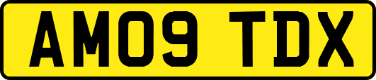 AM09TDX