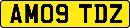 AM09TDZ