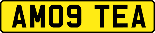 AM09TEA