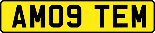 AM09TEM