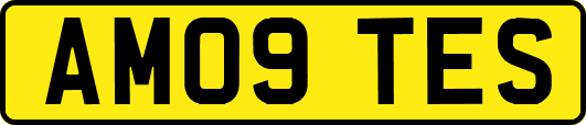 AM09TES