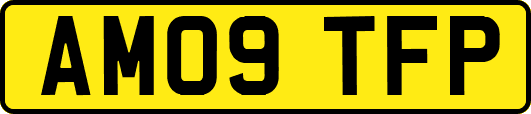 AM09TFP