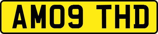 AM09THD