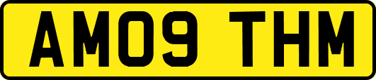 AM09THM