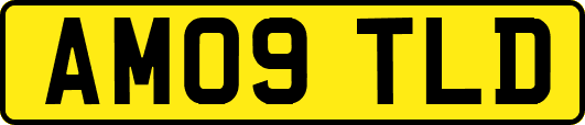 AM09TLD