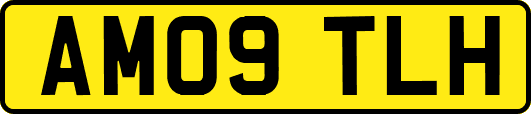 AM09TLH