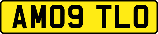 AM09TLO