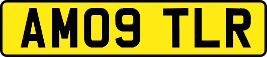 AM09TLR
