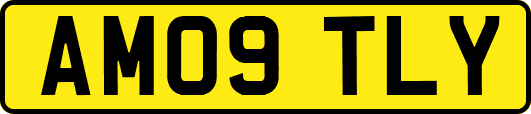 AM09TLY