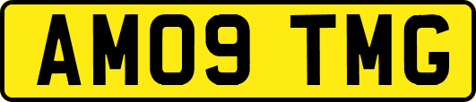 AM09TMG