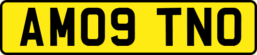 AM09TNO