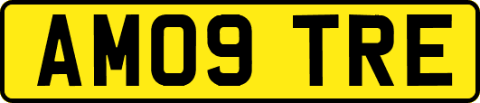 AM09TRE