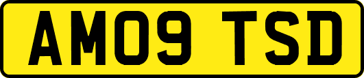 AM09TSD