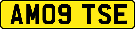 AM09TSE