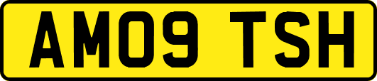 AM09TSH